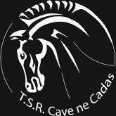 CnC Logo