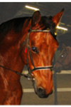 quickstar